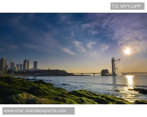 西安滑板队实力解析与对比分析探讨团队发展潜力与未来方向实时数据